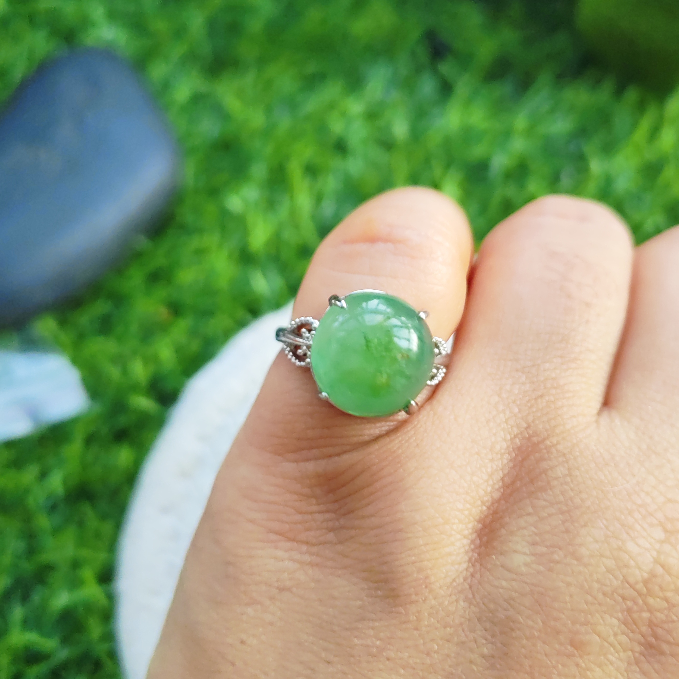 活口玉戒A级纯天然玉石蛋面戒指正品非洲翠蛋面戒指2#