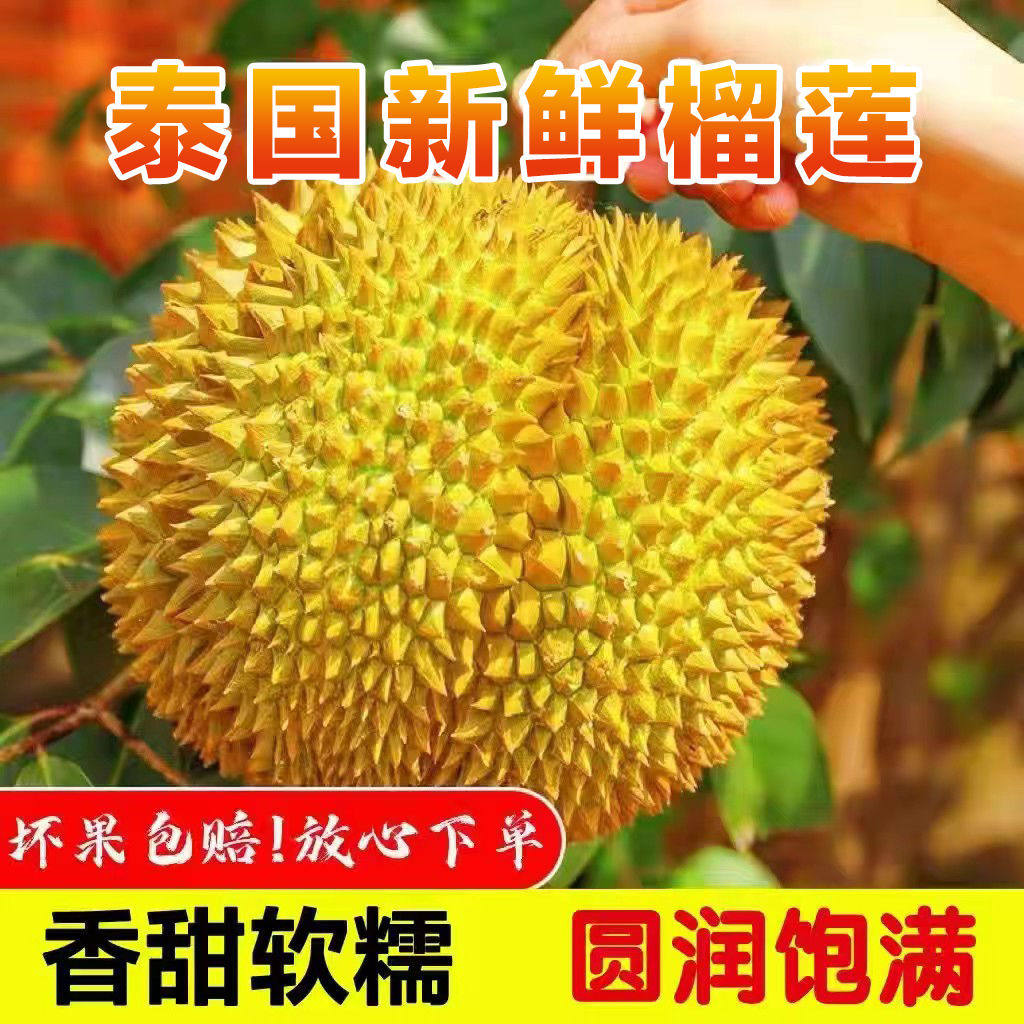 泰国精选金枕头榴莲整个带壳新鲜巴掌水果a级10斤现发迷你榴莲