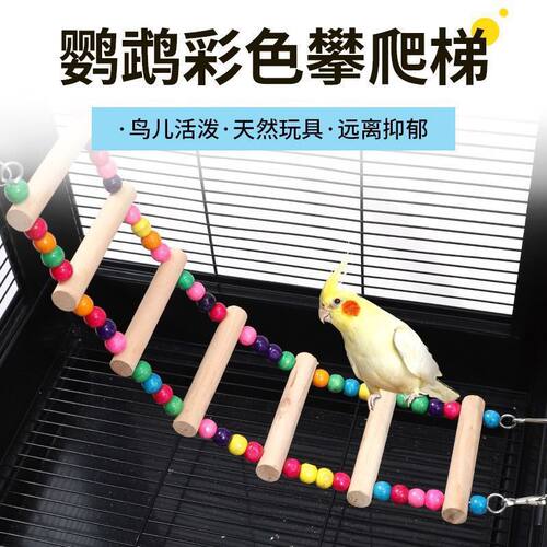 鹦鹉虎皮云梯牡丹爬梯秋千吊环玄凤攀爬鸟用益智用品梯子代发ZR