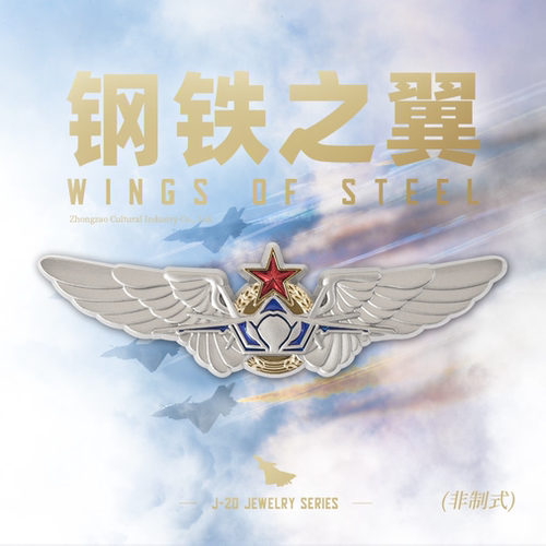 航展爆款歼20飞机徽章设计师款