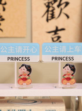 小红书同款公主请学习