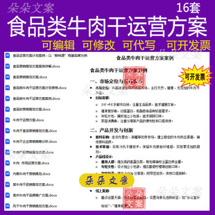 食品类牛肉干运营方案案例营销计划表格食品营销策划方案代写