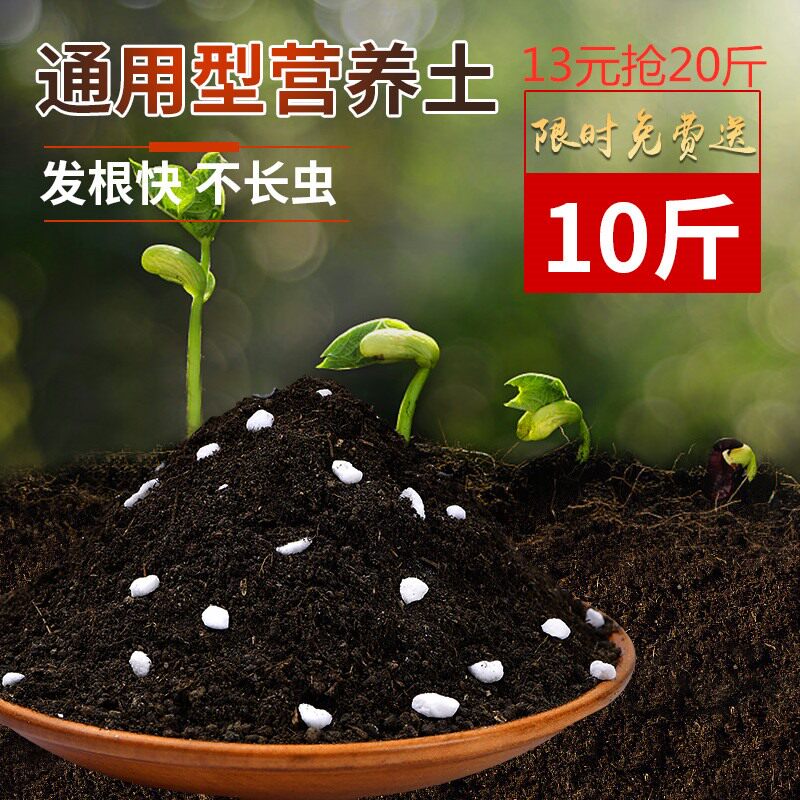 包邮草莓陶粒花土家用多肉营养土养花通用型花盆栽30斤装专用育苗|ruв категории доставка цветов/цветок моделирования/растения садоводства, садовых принадлежностей, домашнее садоводство удобрений/питательной почвы/питательный раствор - от Buy2taobao.com для оказания профессиональной услуги покупки агента Taobao