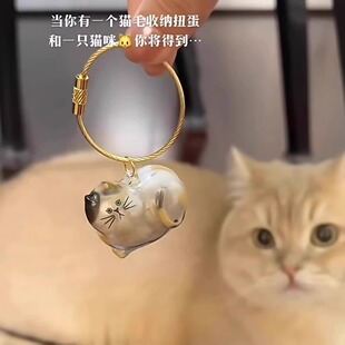 透明猫毛收纳盒吊饰扭蛋创意宠物毛发存放胶囊收集器实用礼品