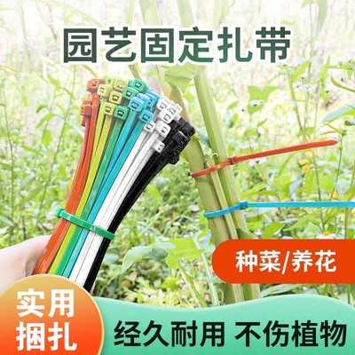可松式活扣尼龙扎带可退式可拆卸彩色塑料园艺扎线带重复使用卡扣