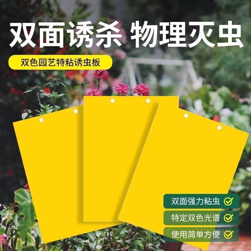 果园大棚双面黄板诱虫贴纸高效灭小飞虫果蝇蚊子苍蝇粘虫工具
