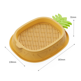 水培猫草盒无土盆栽猫咪零食种子四季种植去毛球实用猫薄荷