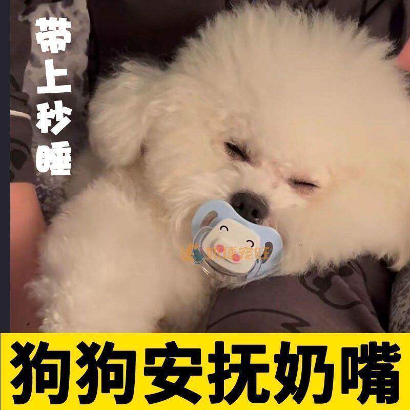 宠物小狗狗奶狗猫咪专用安抚奶嘴磨牙玩具新品精选好物推荐