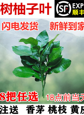 柚子叶新鲜碌柚叶艾草黄皮叶香茅桃枝 祈福乔迁新居去晦气转运