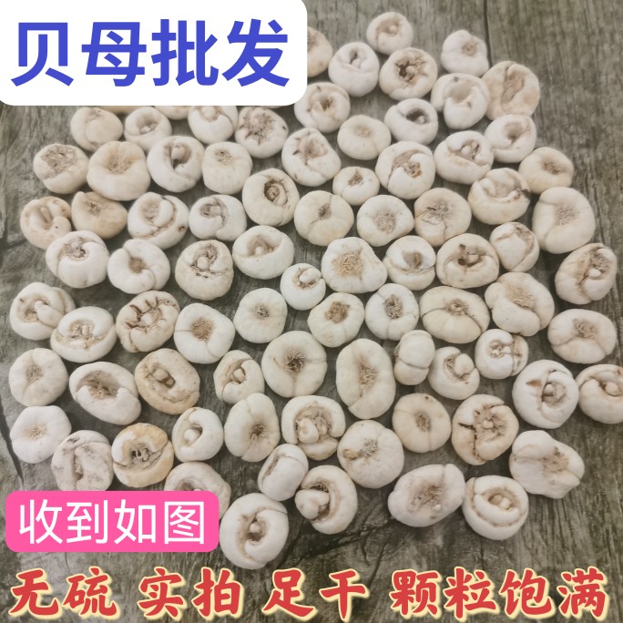 贝母500g包邮四川农家自产川贝母中药材非野生正品无硫平贝可打粉