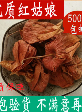 野生红姑娘锦灯笼中药材
