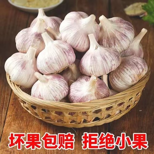 河南大蒜自然晾晒蒜香浓郁