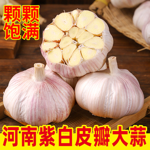 干大蒜头5斤河南农家自种蒜紫白皮大蒜200g起大蒜头 新干蒜