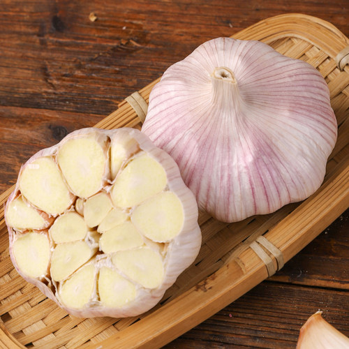 河南大蒜头农家直发辛辣够味