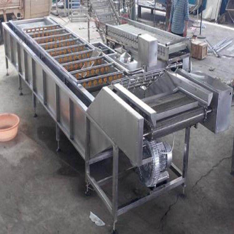 全自动蔬菜清洗机果蔬气泡清洗机不锈钢生姜清洗机气泡洗菜机,清洗/食品/商业设备,其他食品加工设备,淘宝优惠券,粉丝福利购,淘宝优惠卷