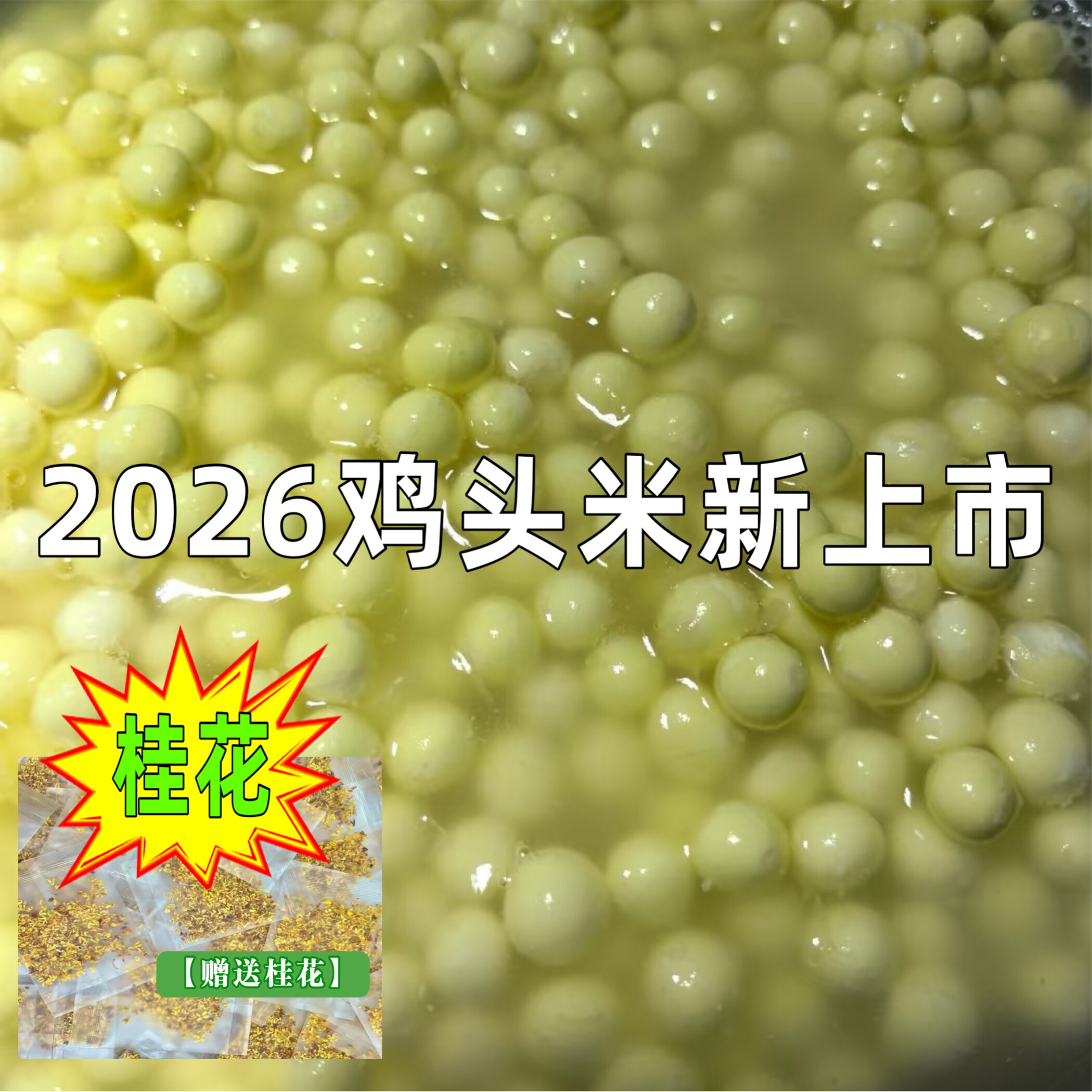 2026苏州新鲜鸡头米手剥芡实新鲜冰冻芡实特产鸡头米鲜米上市