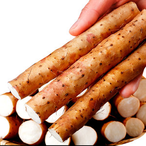 【紫山药】_紫山药