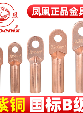 凤凰国标DT堵油铜鼻子纯紫铜线鼻子接线端子DT10/16/25/35/50/70