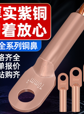 DT铜鼻子冷压接线端子 线耳线鼻子紫铜接头10/16/25/35/50/10平方