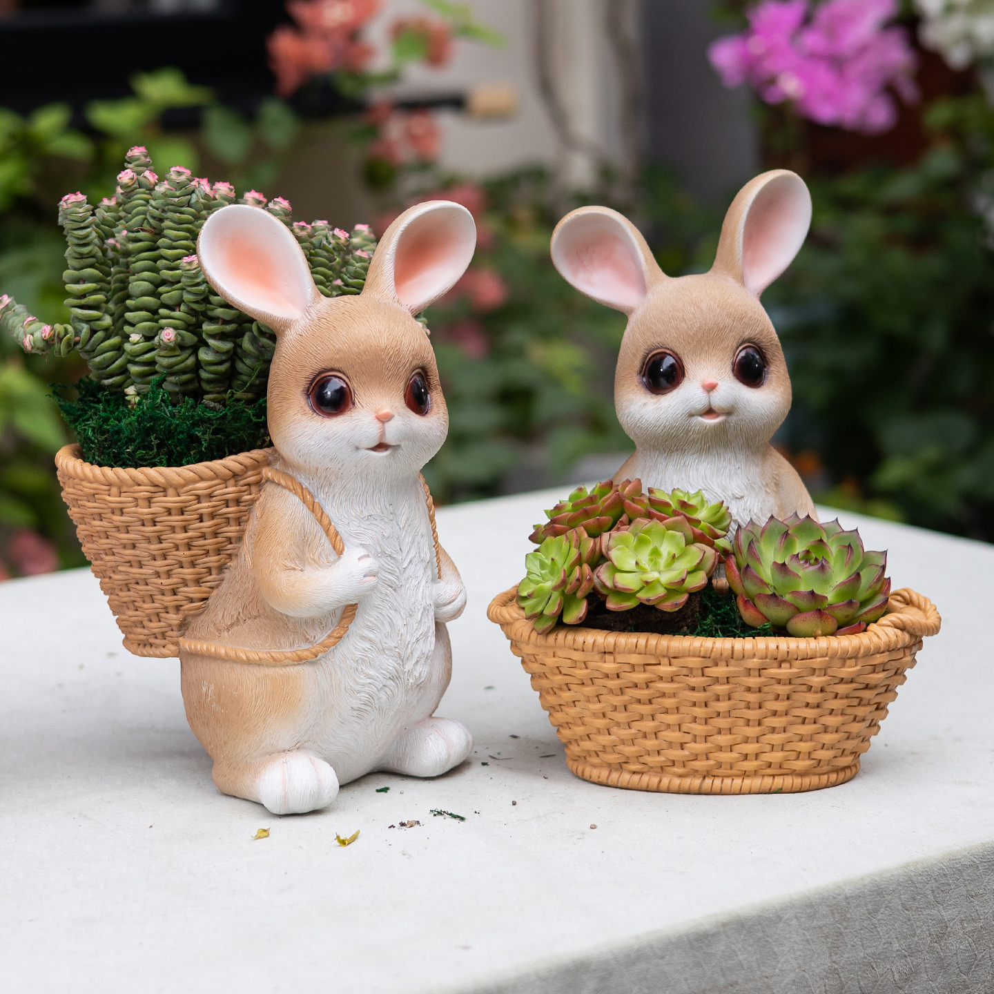 可爱兔子多肉花盆创意个性阳台布置户外庭院摆件花园装饰植物盆栽