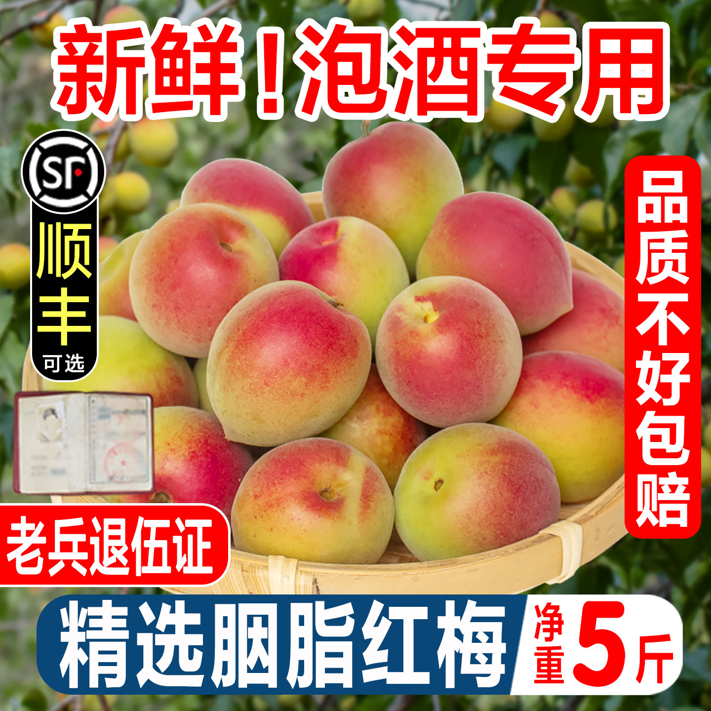 新鲜胭脂梅现摘青梅鲜果 高山野生红梅泡酒孕妇生酸脆梅子5斤新鲜