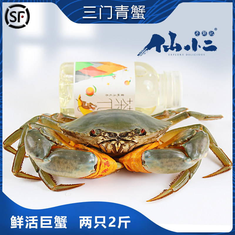 青蟹三门特大超大海鲜水产单只
