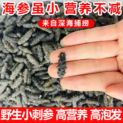 辽宁大连海参干货野生海参辽参小刺参非即食海参迷你淡干海参特价