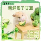 仓鼠零食新鲜孢子甘蓝玉米笋小西瓜香甜脆嫩金丝熊兔子荷兰猪食物