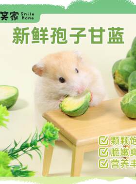 仓鼠零食新鲜孢子甘蓝玉米笋