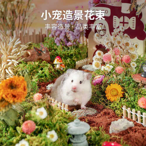 除臭夏季仓鼠笼装饰用品大全