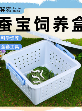 蚕宝宝学生套餐养蚕套装春蚕室送桑叶全套工具观察饲养盒子外带
