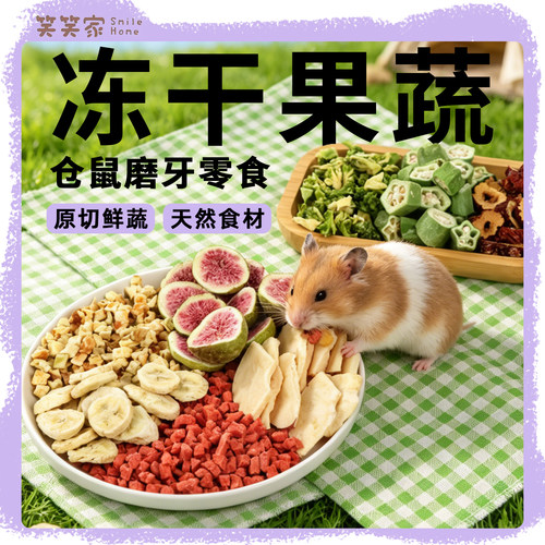 仓鼠磨牙零食冻干果蔬