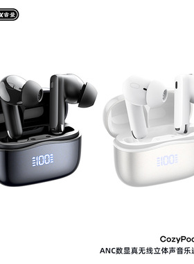 Remax/睿量 v8REMAX睿量ANC降噪智能数显真无线5.4蓝牙立体声音乐