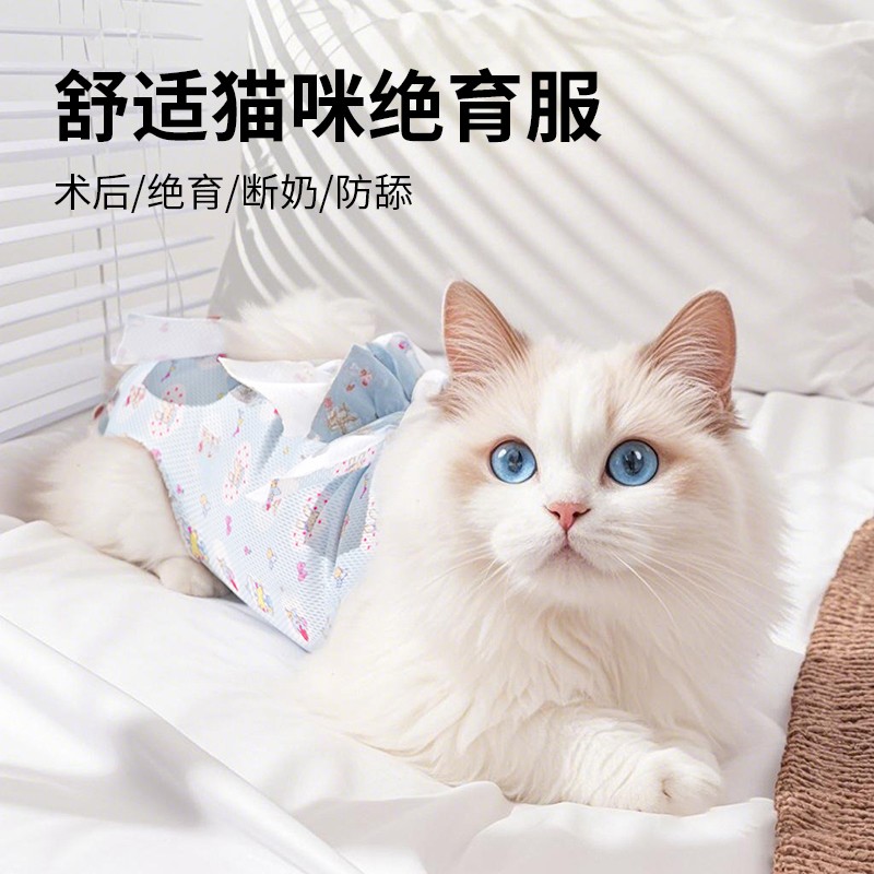 猫咪绝育服术后防舔断奶服