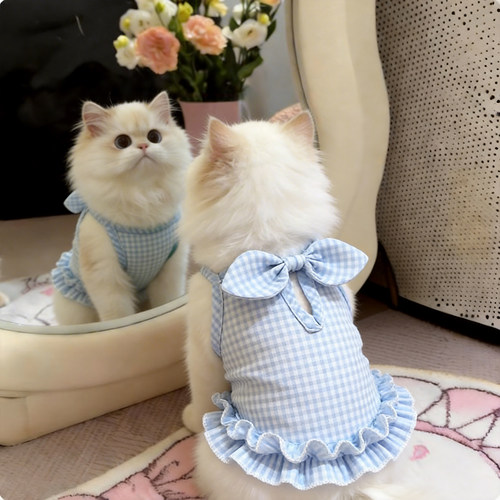 猫咪衣服防掉毛薄款夏季格子背心