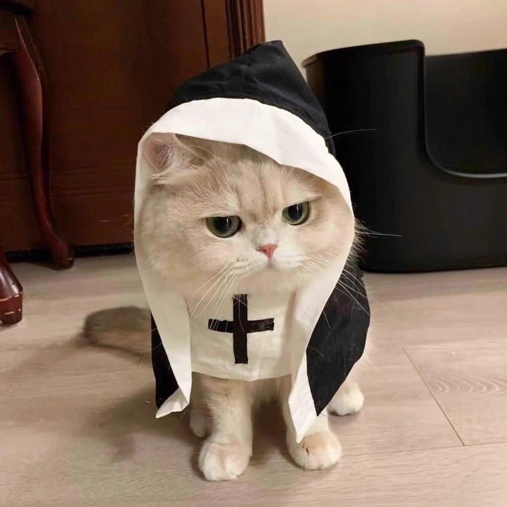 猫咪衣服修女服搞笑十字连帽衫
