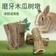 兔子磨牙木瓜墩龙猫鼠宠物磨牙棒零食天然木瓜树墩耐啃咬兔见兔爱