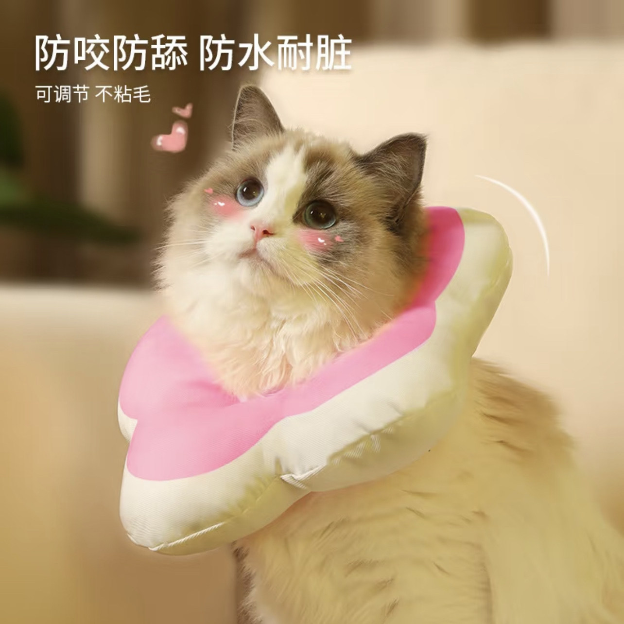 猫咪宠物伊丽莎白圈绝育防舔伤口