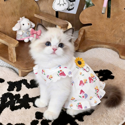 猫咪衣服夏天防掉毛飞袖连衣裙