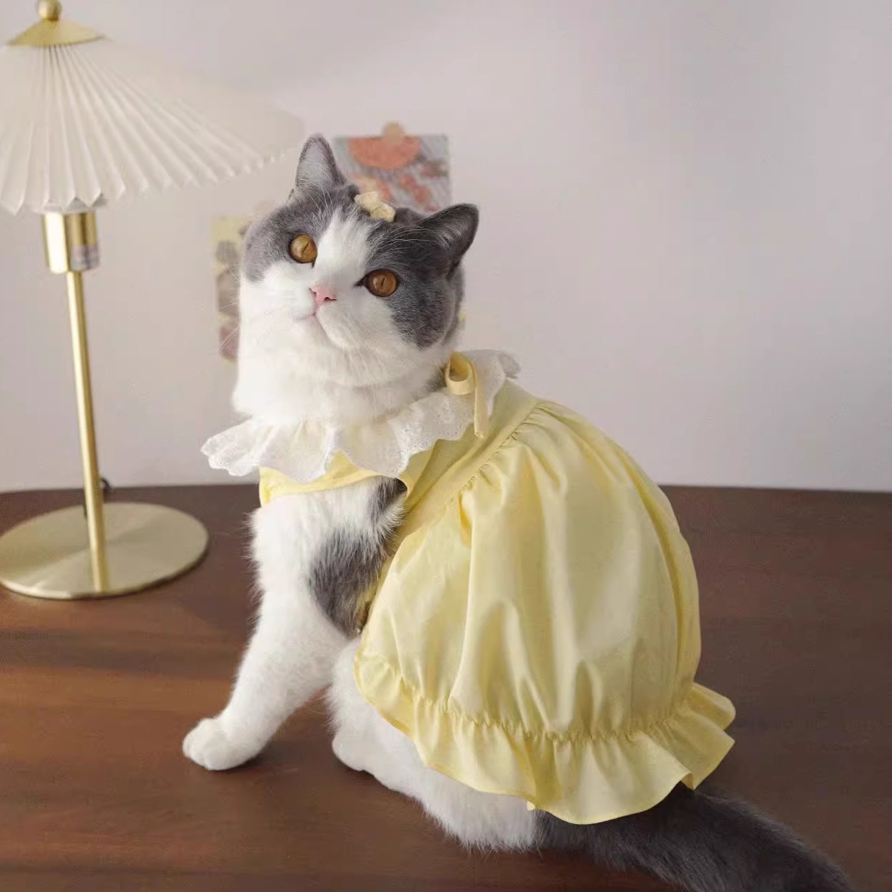 猫咪衣服夏季薄款公主裙防掉毛