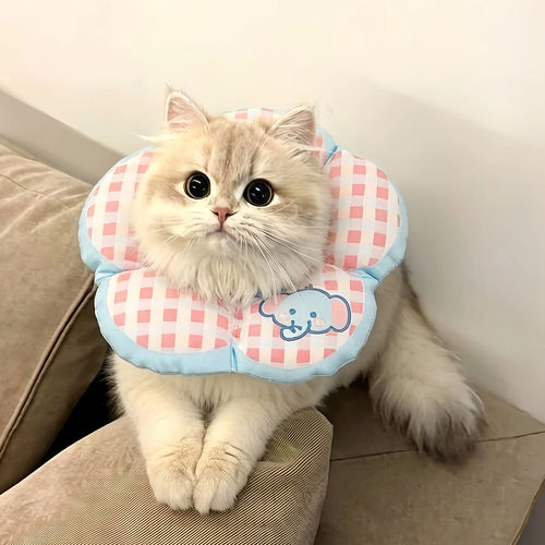 猫狗术后恢复防舔防咬伊丽莎白圈