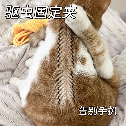 猫狗通用驱虫分毛固定发夹