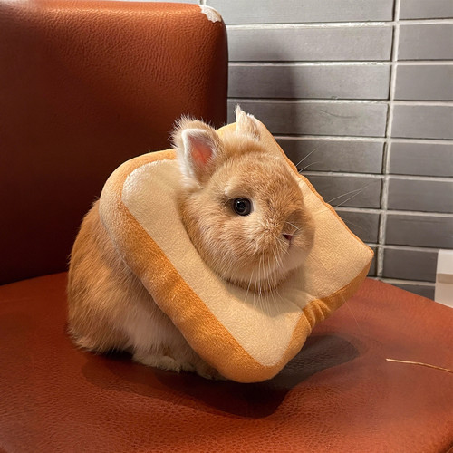 兔子伊丽莎白圈软项圈防舔防咬