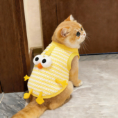 猫咪衣服菠萝绒保暖背心秋冬款 橘猫德文蓝猫宠物绒衣狗狗玩偶马甲