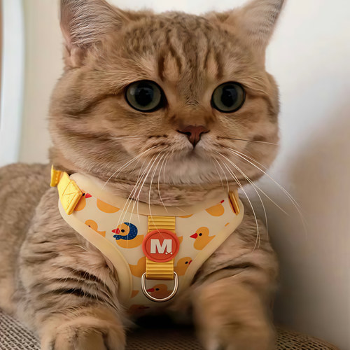 猫咪牵引绳背心式猫绳可调节长短