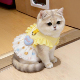 猫咪衣服春夏款 黄色泡泡裙公主连衣裙防掉毛中小型犬狗狗宠物服装