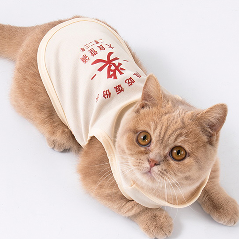 猫咪衣服薄款宠物猫猫金渐层布偶小猫防掉毛可爱幼猫夏季狗狗背心 宠物/宠物食品及用品 猫宠物服装/雨衣（新） 原图主图