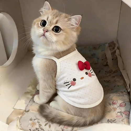小猫咪衣服2026新款防掉毛薄款