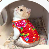 猫咪衣服东北大花开衫 秋冬保暖加绒防掉毛冬天加厚大红色喜庆马甲