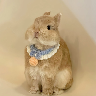 小兔子项圈围脖可爱手工编织脖圈